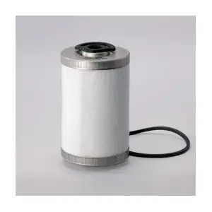 Donaldson-AU P550120