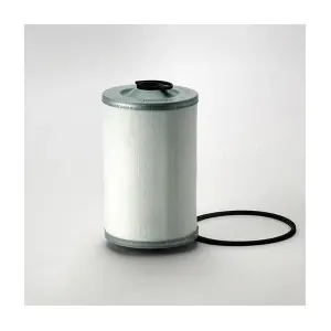 Donaldson-AU P550061