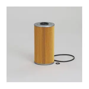 Donaldson-AU P550070