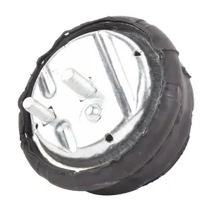 BF0428140229 BAPMIC