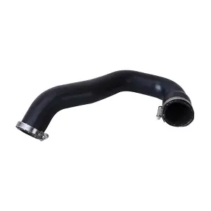BF0422700241 BAPMIC