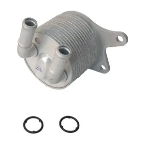 BF0528720013 BAPMIC