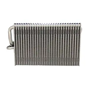 BAPMIC TOPT1154001