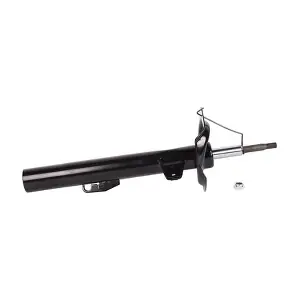 BAPMIC BACB12573002