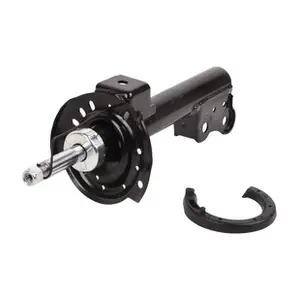 BACB11-573011 BAPMIC