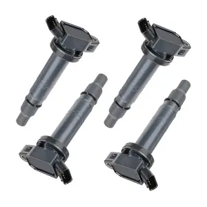 BACB31-245001 BAPMIC