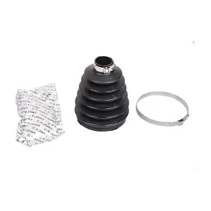 BACB11-484017 BAPMIC