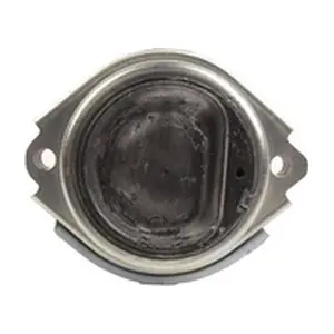 BF0428140396 BAPMIC