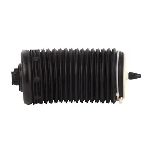 BF0321290018 BAPMIC