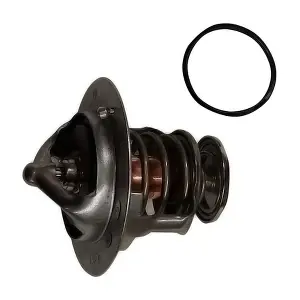 BAPMIC TOPT3106005