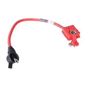 BACB12-719004 BAPMIC