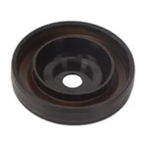 BF0422970001 BAPMIC
