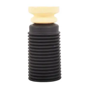 BF0321360028 BAPMIC
