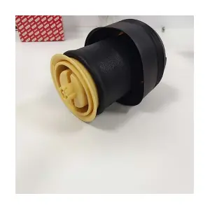 BACB12-575009 BAPMIC