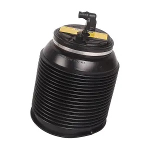 BF0321290028 BAPMIC