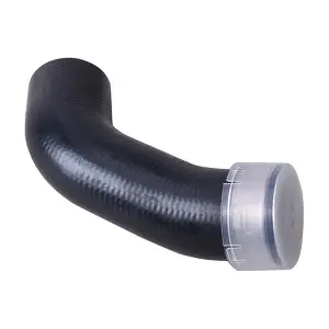 BF0422700168 BAPMIC