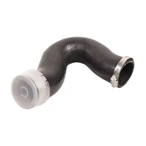 BF0422700299 BAPMIC