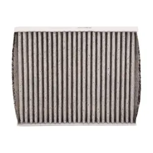 BF0733710025 BAPMIC