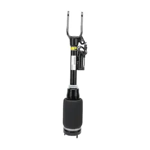 BACB11-575007 BAPMIC
