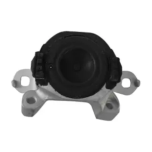 BACB18-205006 BAPMIC