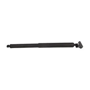 BF0113480077 BAPMIC