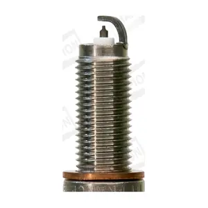 CHAMPION-AU OE245
