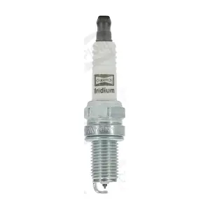 CHAMPION-AU OE187/T10