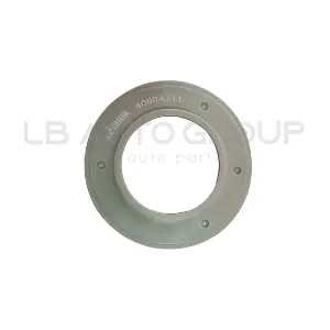 4060A711 PROTON