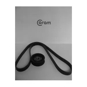 KTC993 CORAM