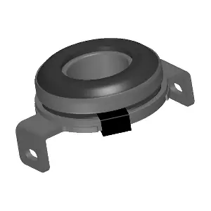 CORAM C0096