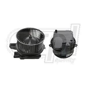 RPL QUALITY APVTAU5019
