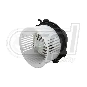 832038 RPL QUALITY