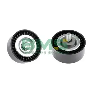 BMS 481 BMS