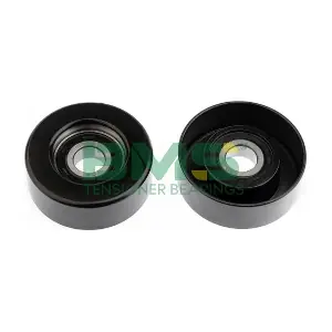 BMS 079 BMS