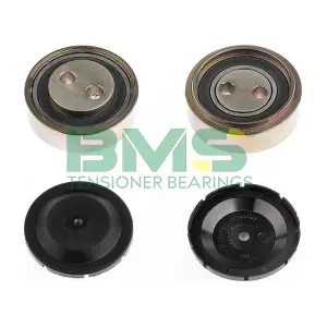 BMS 321 BMS