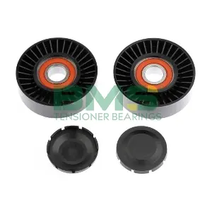 BMS 269 BMS
