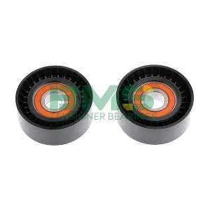 BMS 257 BMS