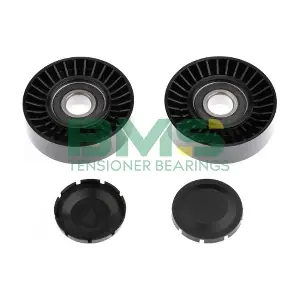 BMS BMS 293