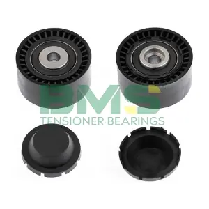 BMS 527 BMS
