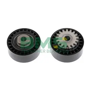 BMS 431 BMS