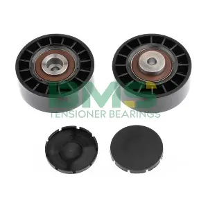 BMS 216 BMS