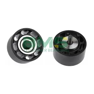 BMS 479 BMS