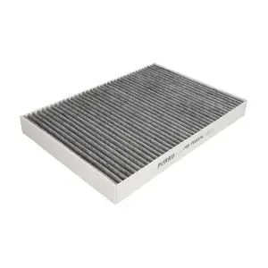PURRO PURPC0004C