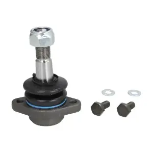 RH03-0032 REINHOCH
