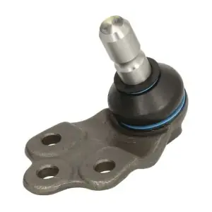 RH03-1009 REINHOCH