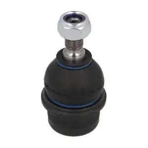RH033008 REINHOCH