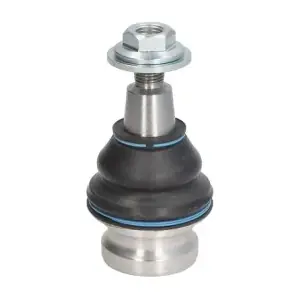 RH03-0042 REINHOCH