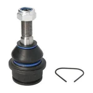 REINHOCH RH03-0035