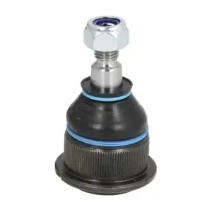 RH03-3005 REINHOCH
