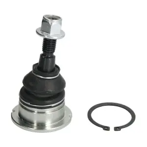 REINHOCH RH035012